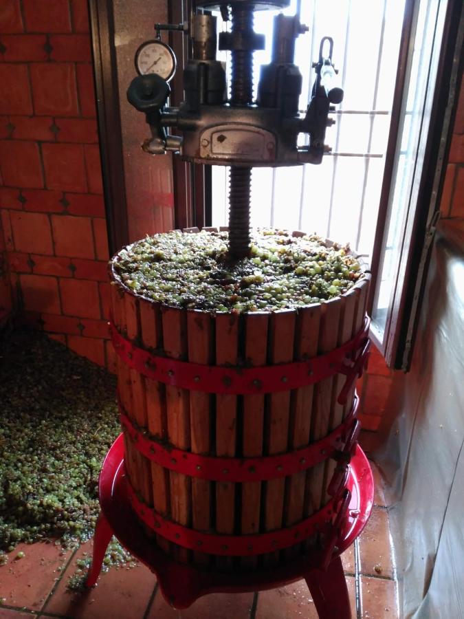 Casa Rural La Bodega, Ofrece Cata De Vino Gratis Horche 外观 照片